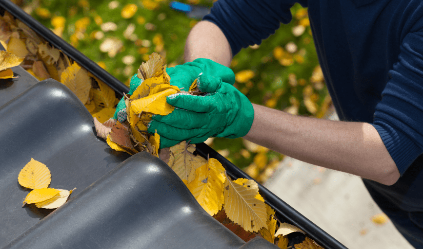 GUTTER CLEANING